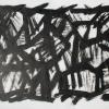 Branches Horizontal 002.JPG