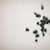 Spring Fireworks 001 Oil.JPG